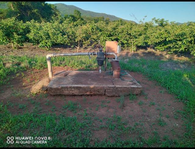 29HA FARM FOR SALE IN LEVUBU